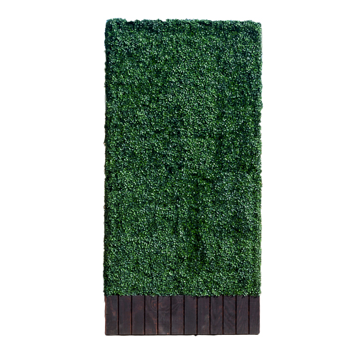 Hedge-Package-4w-x-8h.jpg